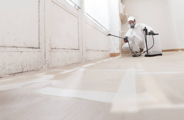 24/7 Emergency Attic Mold Removal experts in Warwick, MD